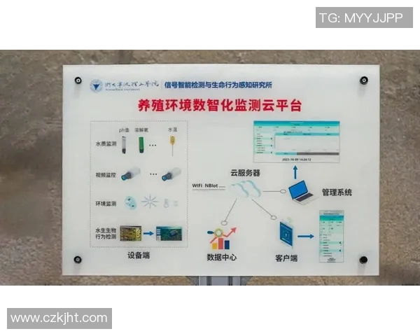 渔具创新与发展趋势分析 探索未来渔业装备的智能化与多功能化发展方向