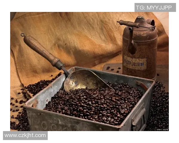 咖啡文化的魅力与探索：从起源到全球流行趋势的全景解读